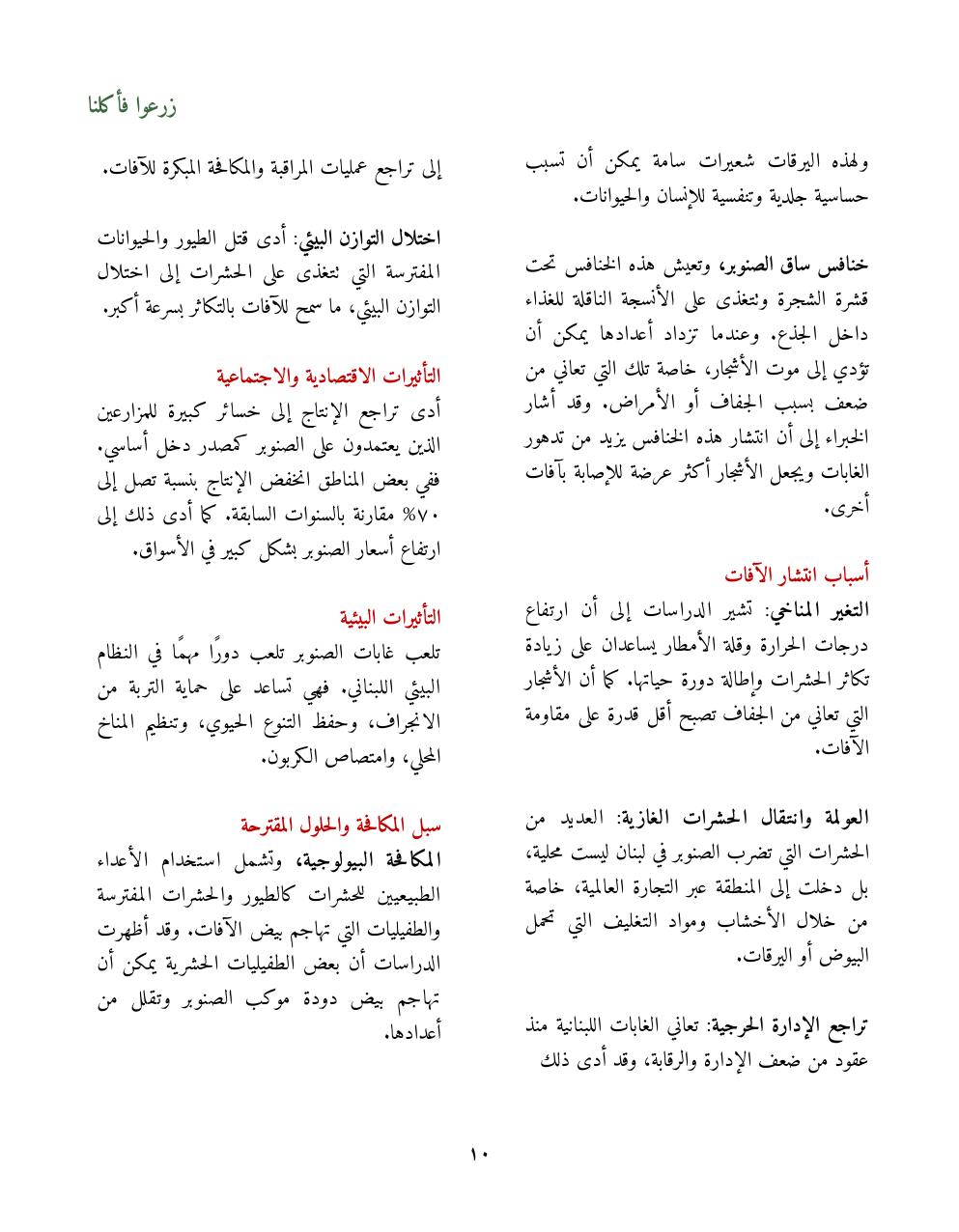 صفحة 12