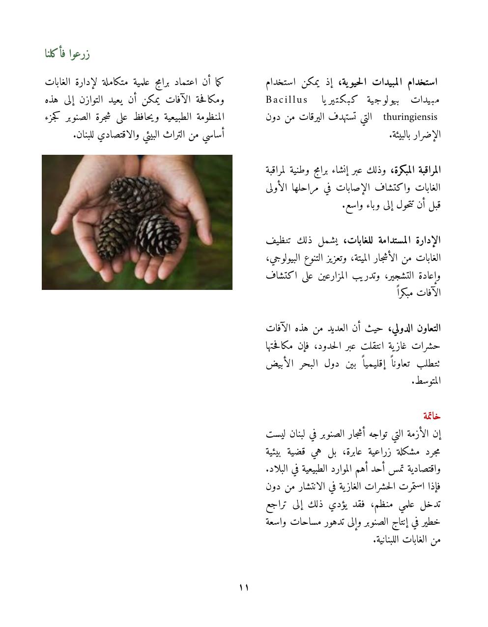 صفحة 13